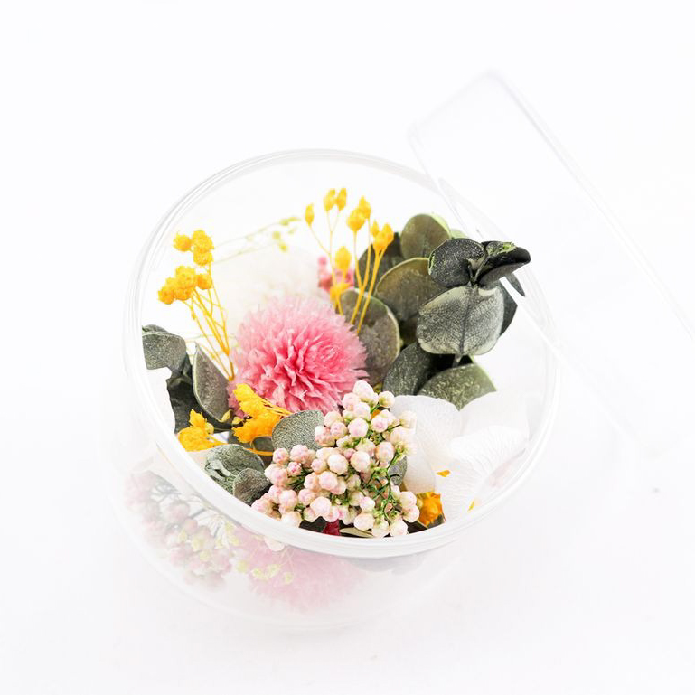 aroma bloom ハーフポット Sセット