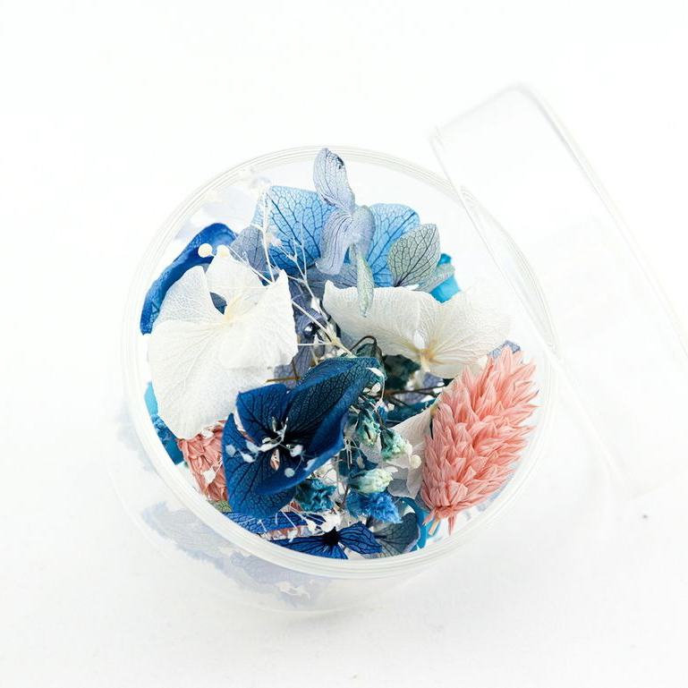 aroma bloom ハーフポット Sセット