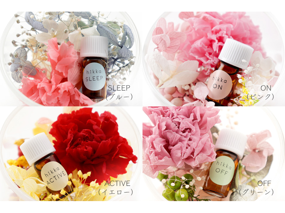 【母の日】aroma bloom カーネーションハーフポット Sセット