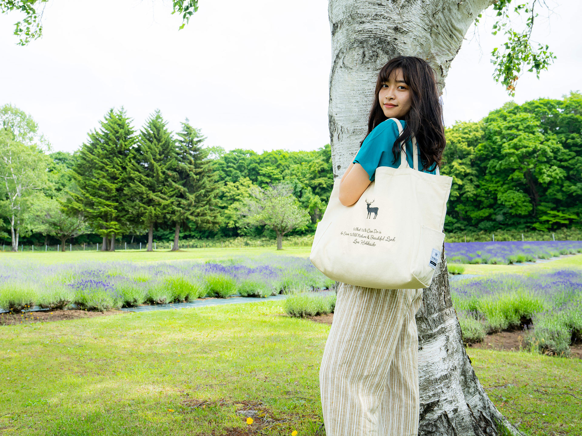 THE TOTE