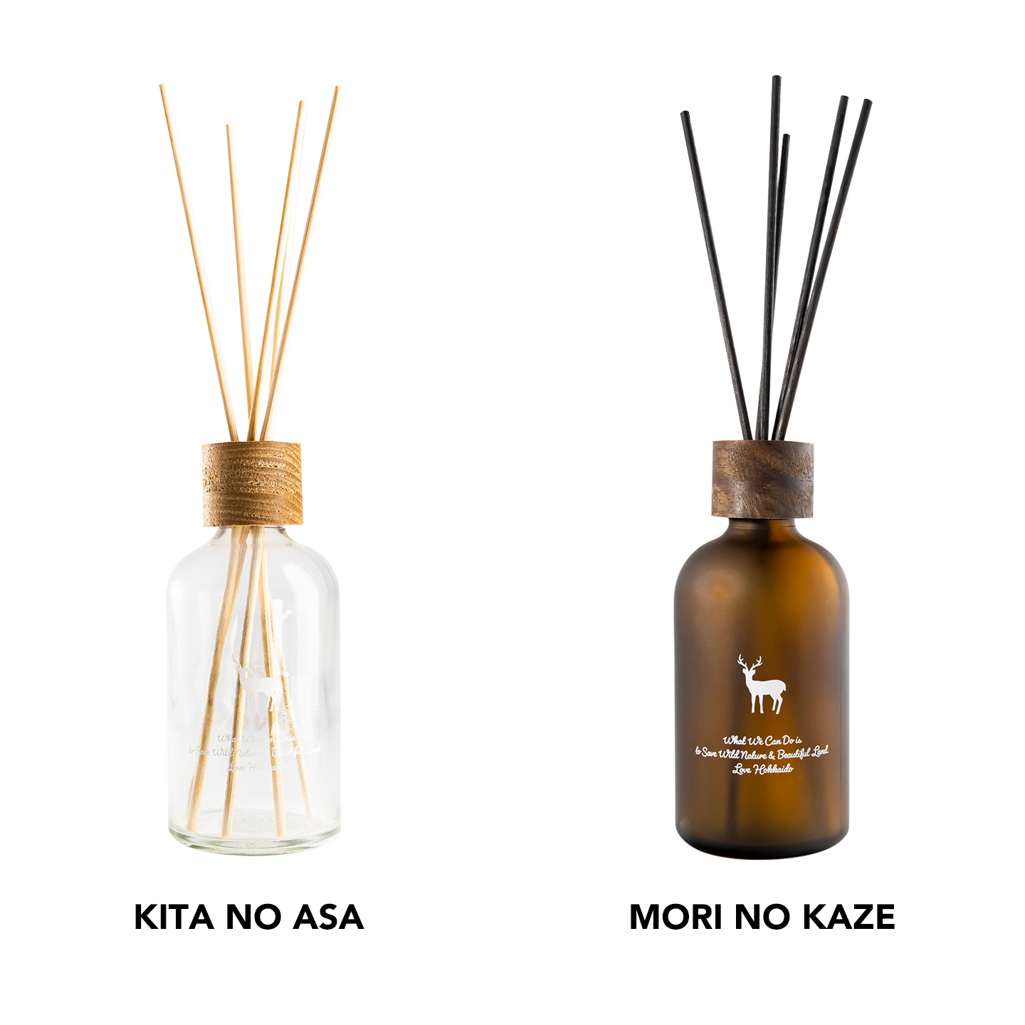 THE REED DIFFUSER
