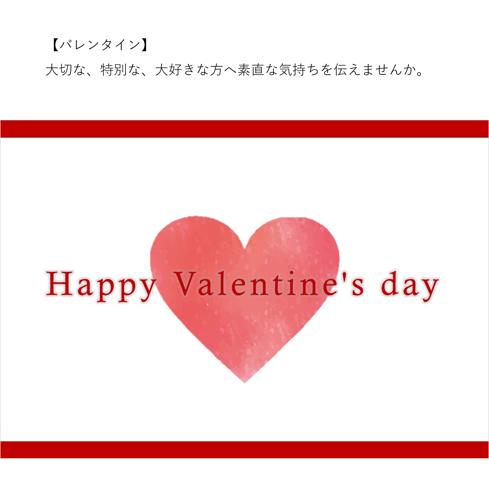 神戸牛ビーフシチュー