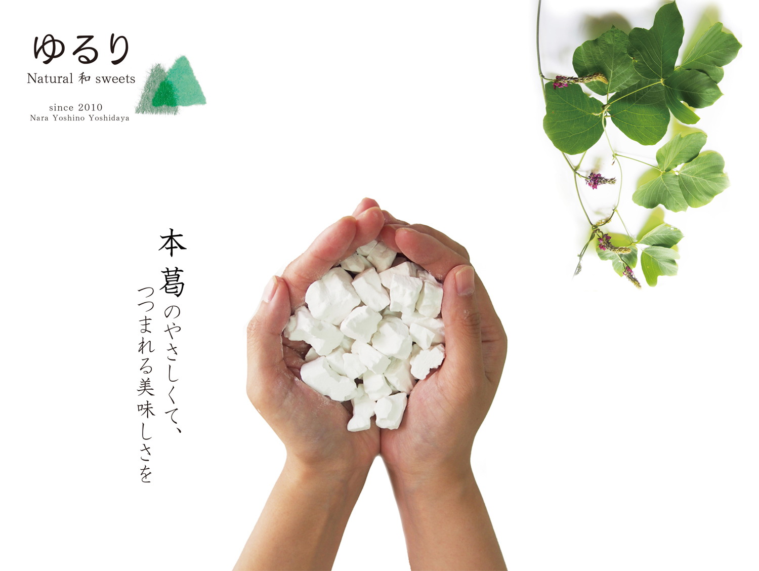 ゆるり本くずゆ4種セット①