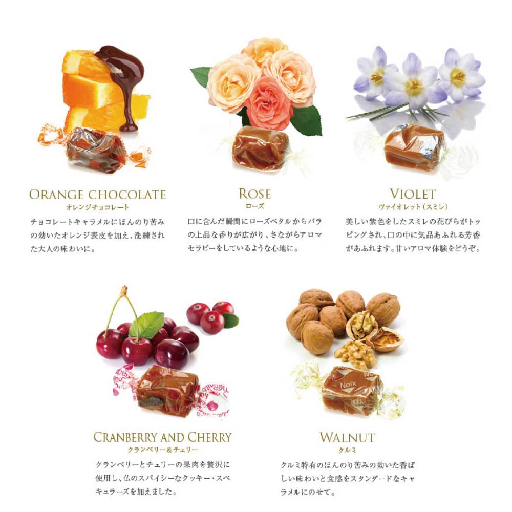 母の日2021 フランス産 ドラジェ アソートボックス E  (ドラジェ+キャラメル5粒) 帯付き