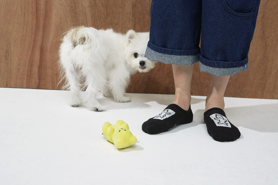 イナパスクエア フットカバーシリーズ22.5-27.5cm ユニセックスフリーサイズ｜ソックス