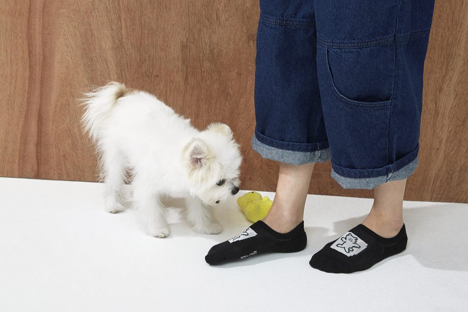 イナパスクエア フットカバーシリーズ22.5-27.5cm ユニセックスフリーサイズ｜ソックス