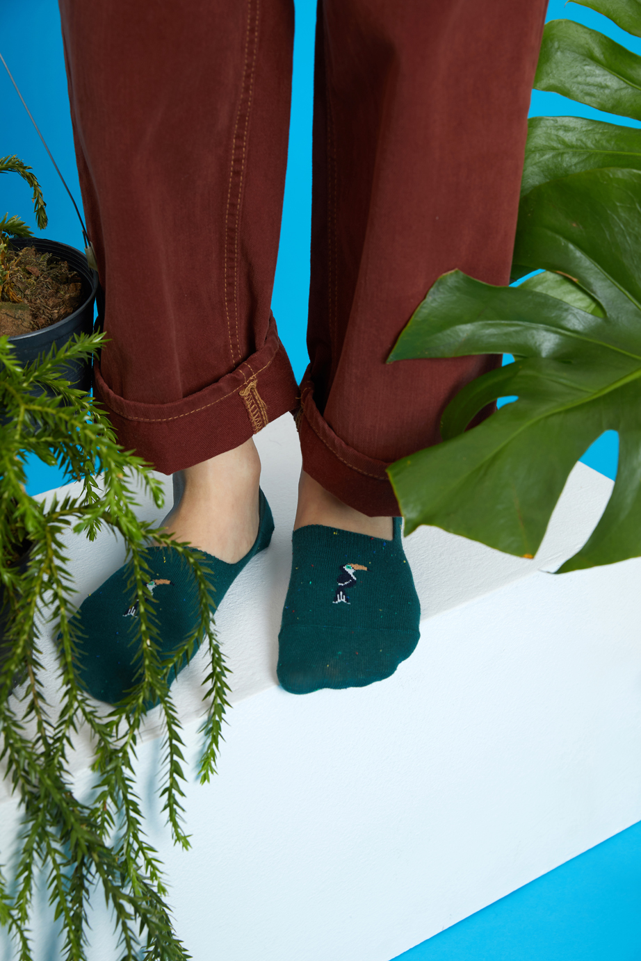 ジャングルフレンズ フットカバーシリーズ22.5-27.5cm ユニセックスフリーサイズ｜ソックス