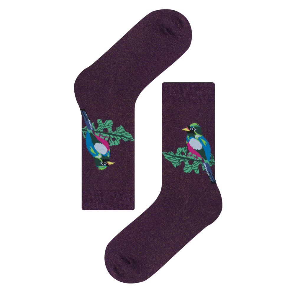 ROM シリーズ22-26cm ウィメンズ向けフリーサイズ｜ソックス