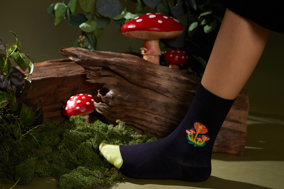 ROM シリーズ22-26cm ウィメンズ向けフリーサイズ｜ソックス