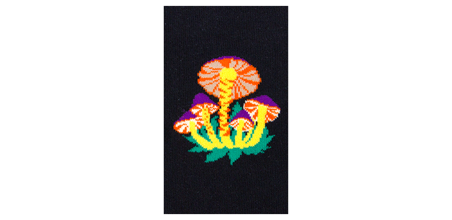 ROM シリーズ22-26cm ウィメンズ向けフリーサイズ｜ソックス