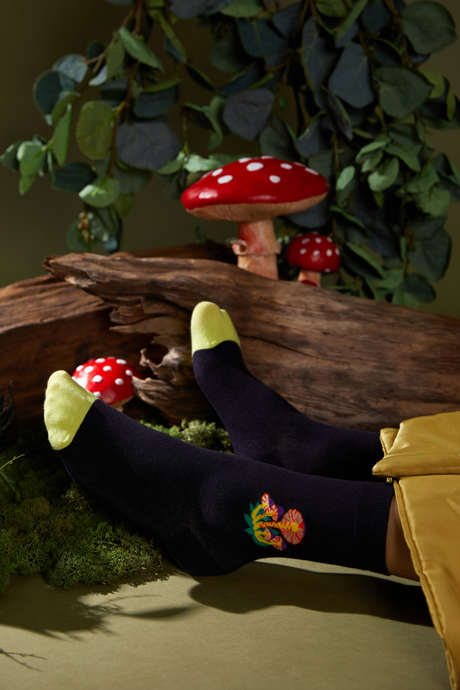 ROM シリーズ22-26cm ウィメンズ向けフリーサイズ｜ソックス