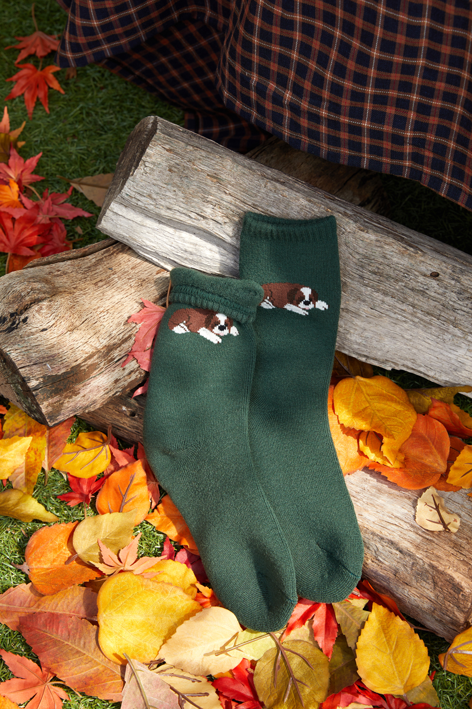 あたたかルームソックス シリーズ 22.5-27.5cm ユニセックスフリーサイズ│ソックス