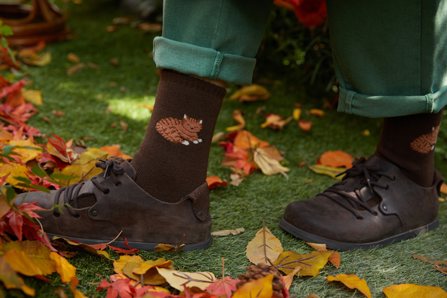 あたたかルームソックス シリーズ 22.5-27.5cm ユニセックスフリーサイズ│ソックス