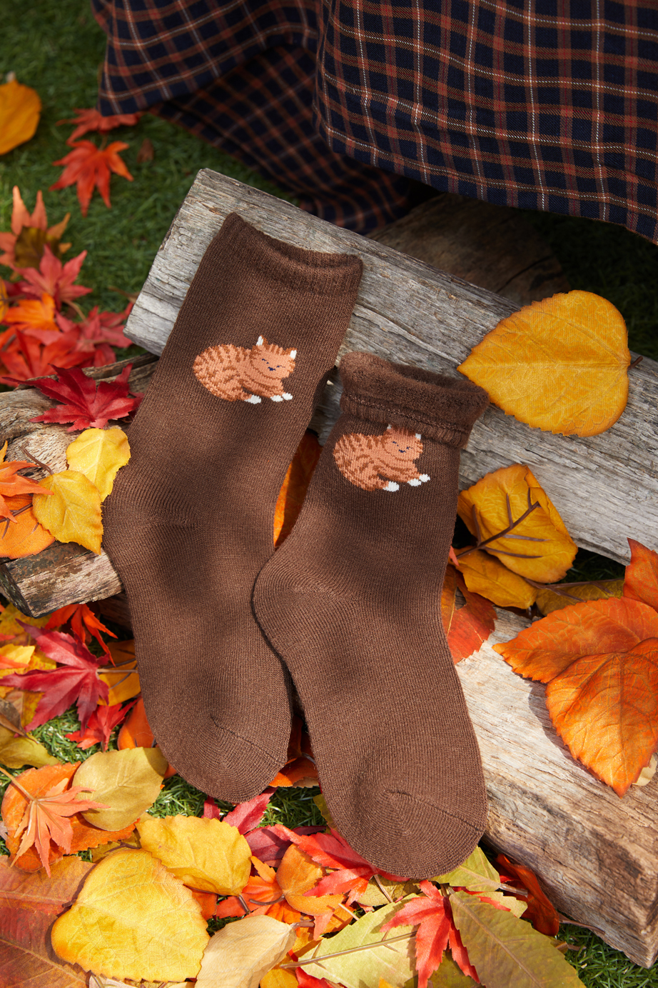 あたたかルームソックス シリーズ 22.5-27.5cm ユニセックスフリーサイズ│ソックス