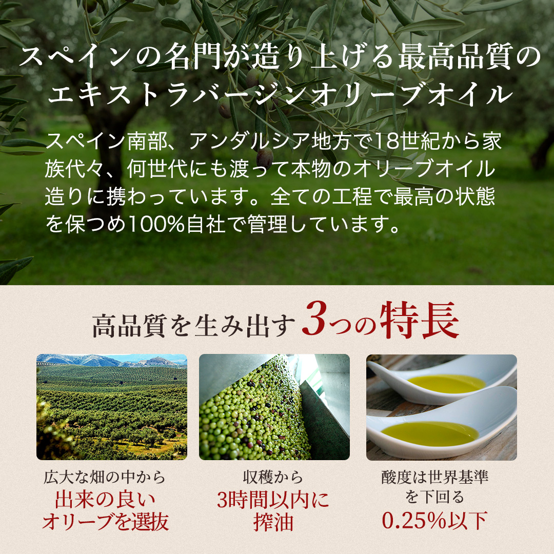 【パティオ・デ・ヴィアナ】エキストラバージンオリーブオイル ピクアル種