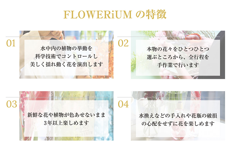 FLOWERiUM toilette TEAPONDギフトセット