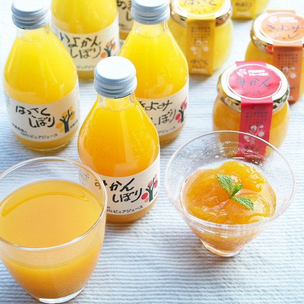 柑橘ジュース＆寒天ジュレセット