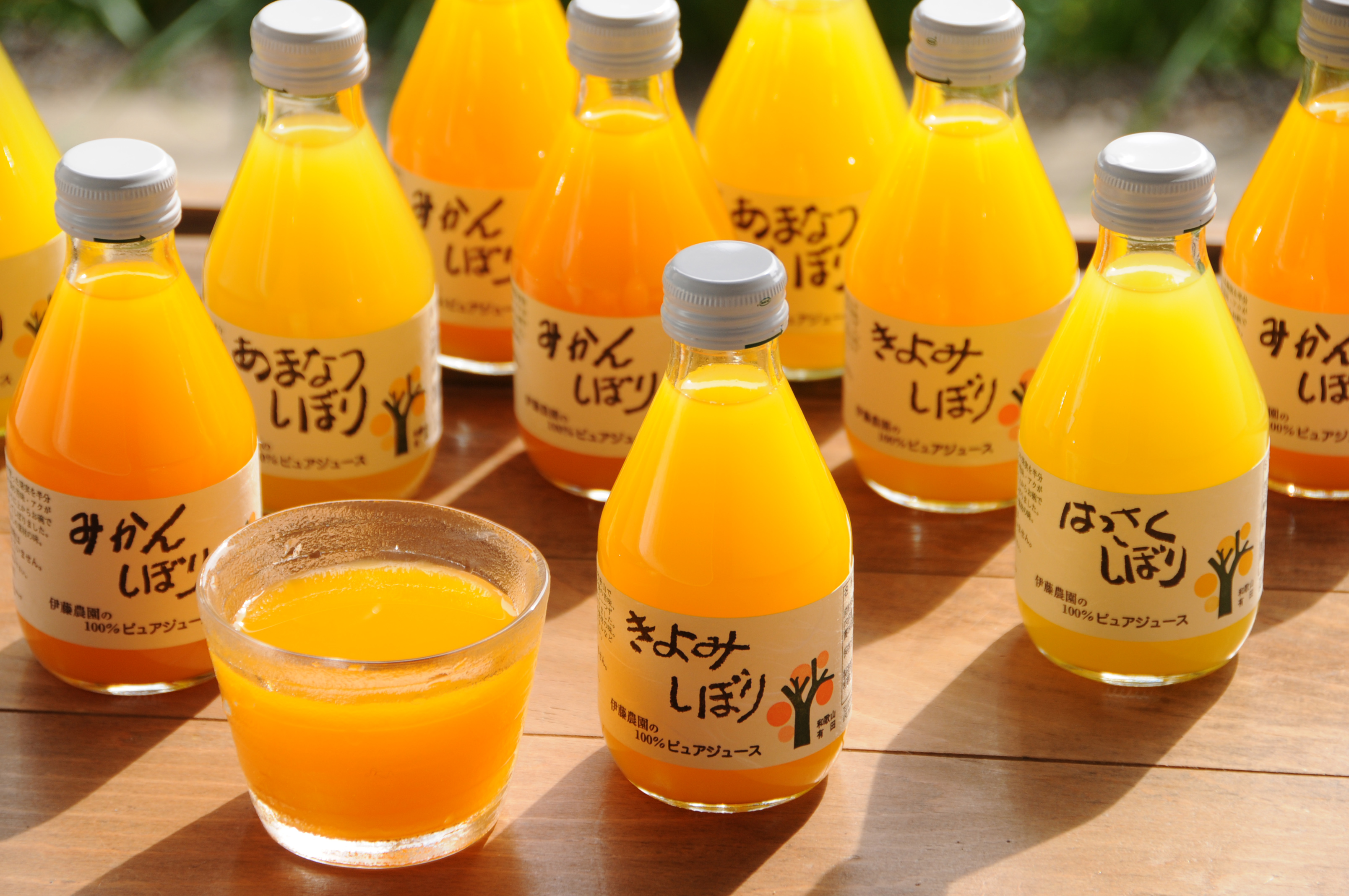 5種の柑橘ジュース