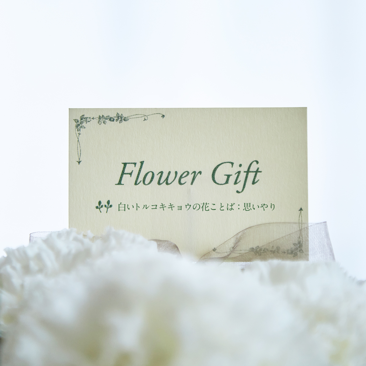 ことばの花箱 ［思いやり］トルコキキョウ