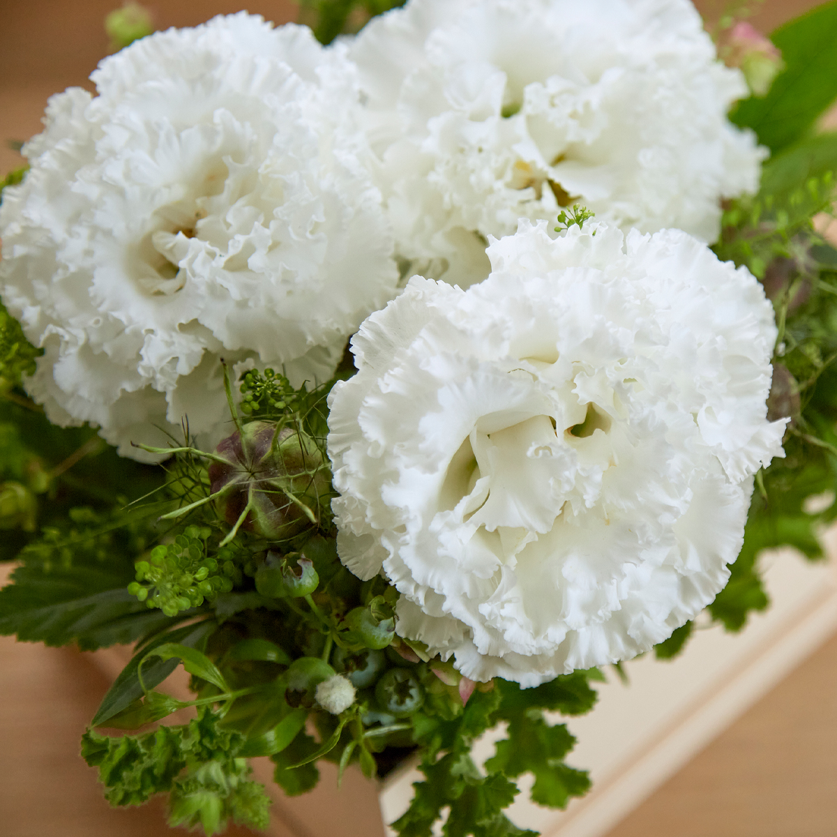 ことばの花箱 ［思いやり］トルコキキョウ