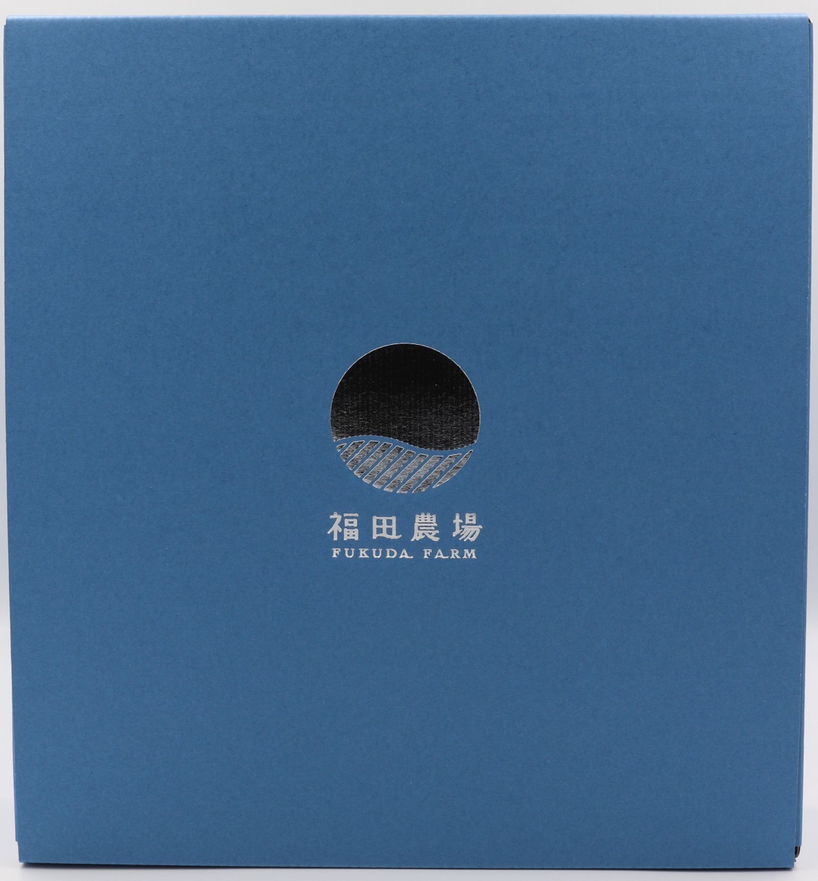 大人のレモネード　8本セット（塩レモン×４、苺＆レモン×２、竹炭＆レモン×２）