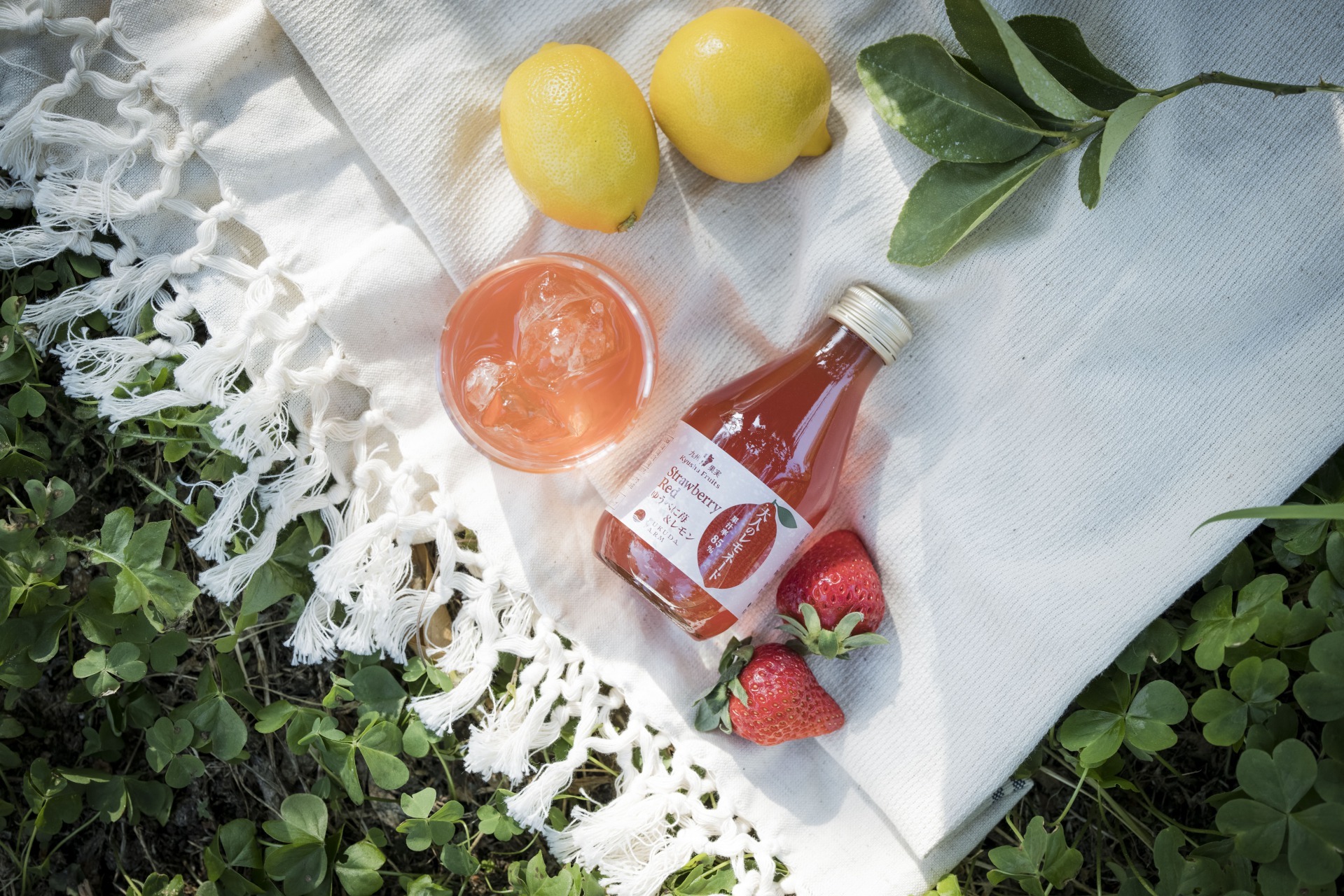 大人のレモネード　8本セット（塩レモン×４、苺＆レモン×２、竹炭＆レモン×２）