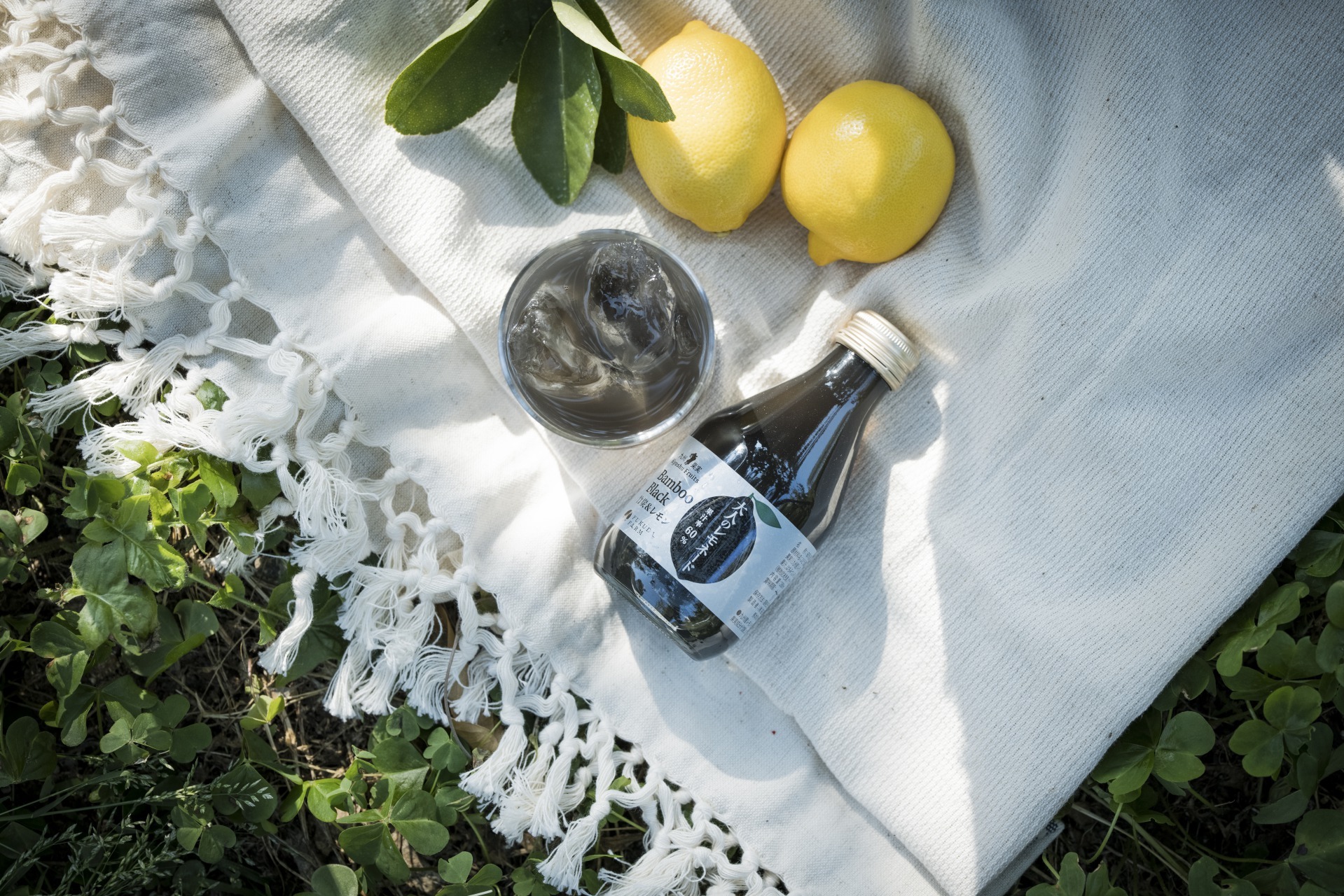 大人のレモネード　8本セット（塩レモン×４、苺＆レモン×２、竹炭＆レモン×２）