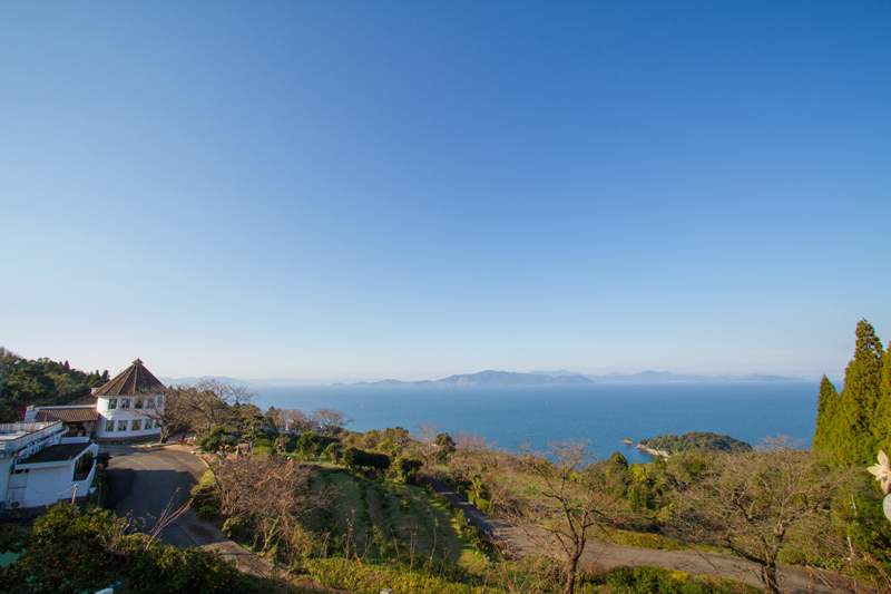 デコポンまるごとしぼり　10本セット