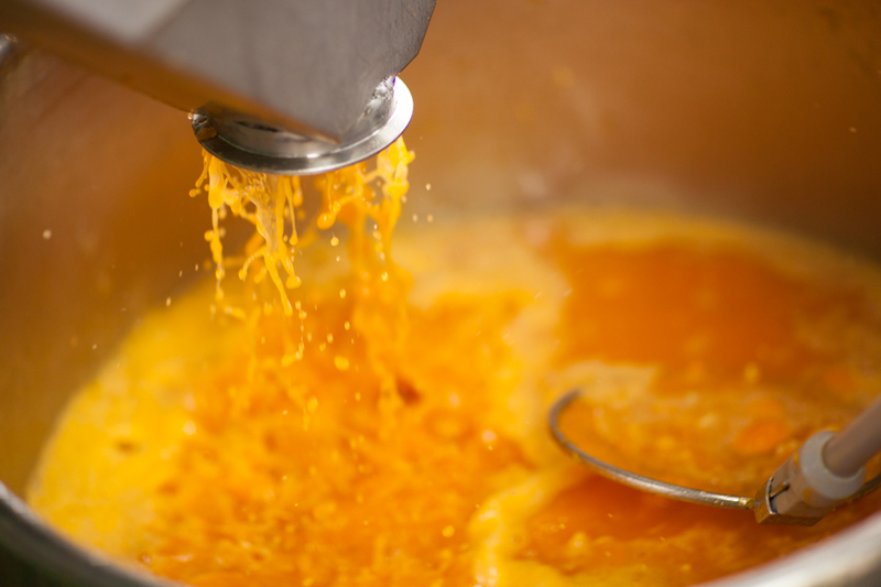 デコポンまるごとしぼり　10本セット