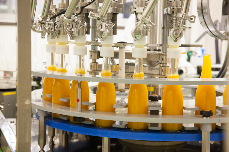 デコポンまるごとしぼり　10本セット