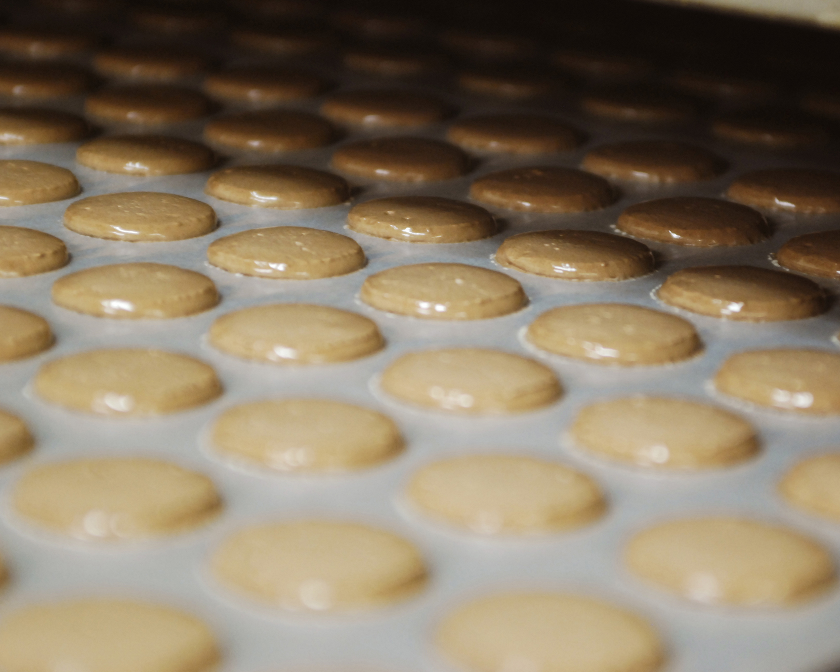 ラングドシャサンドアイス 8個 SA-01