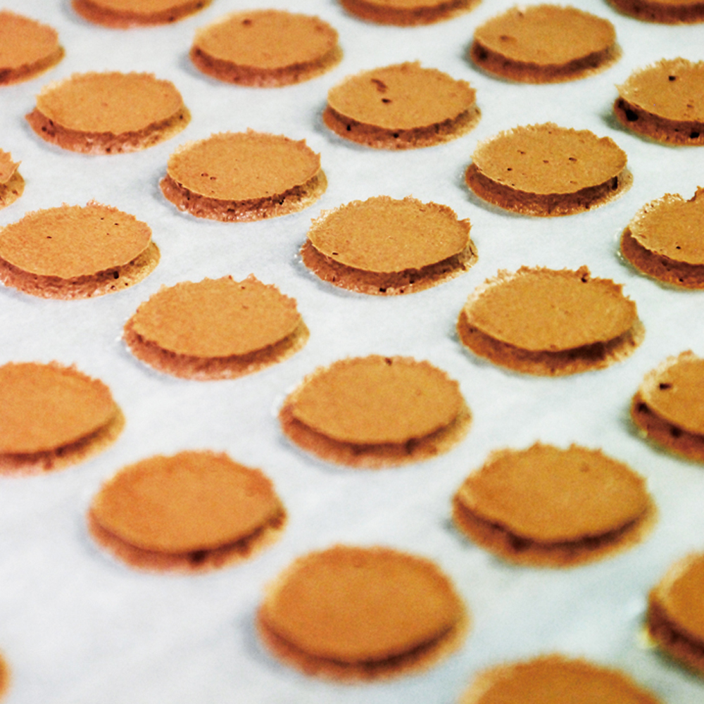 ラングドシャサンドアイス 8個 SA-01