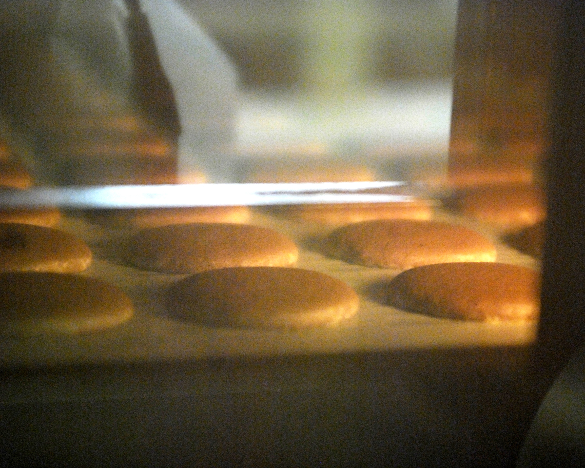 ラングドシャサンドアイス 8個 SA-01