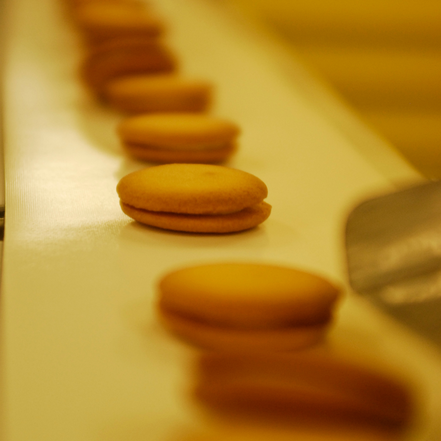 ラングドシャサンドアイス 8個 SA-01