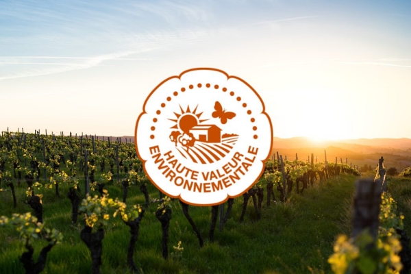 ランプドメデュウス 2019 ＜クリスチャンラクロワデザイン限定ボトル＞