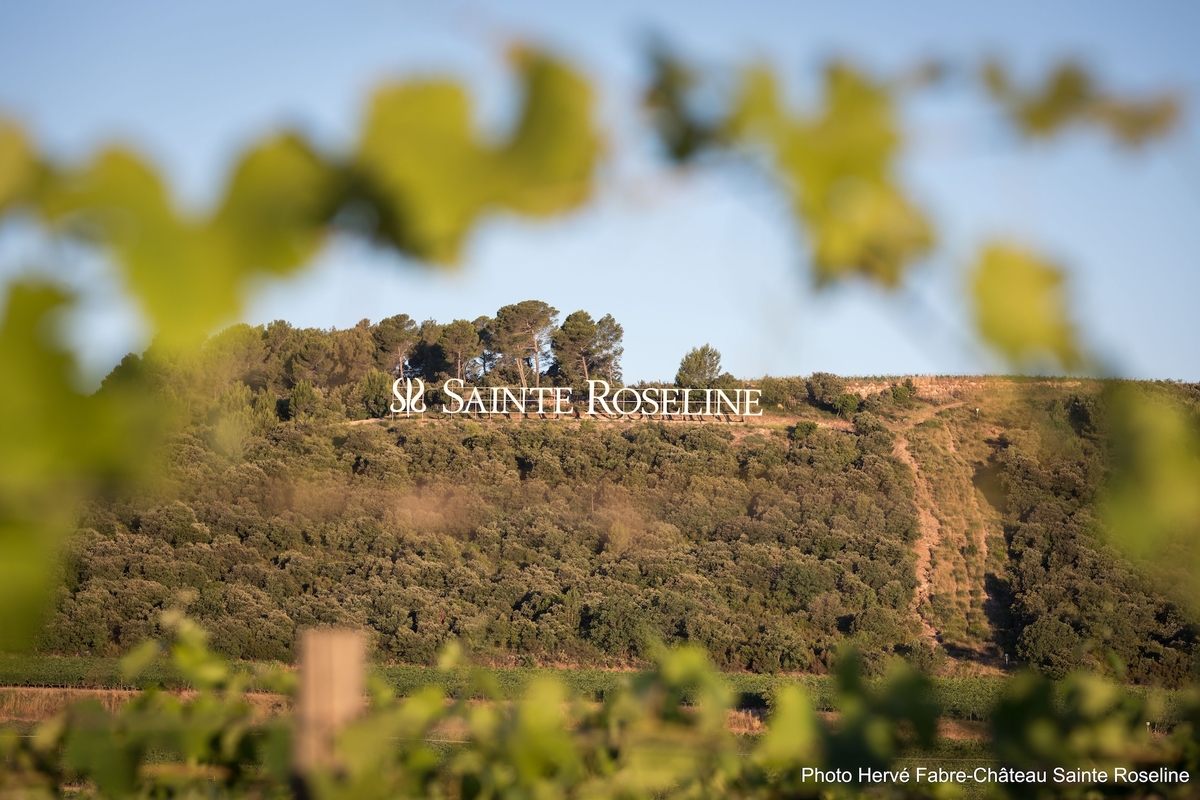 ランプドメデュウス 2019 ＜クリスチャンラクロワデザイン限定ボトル＞