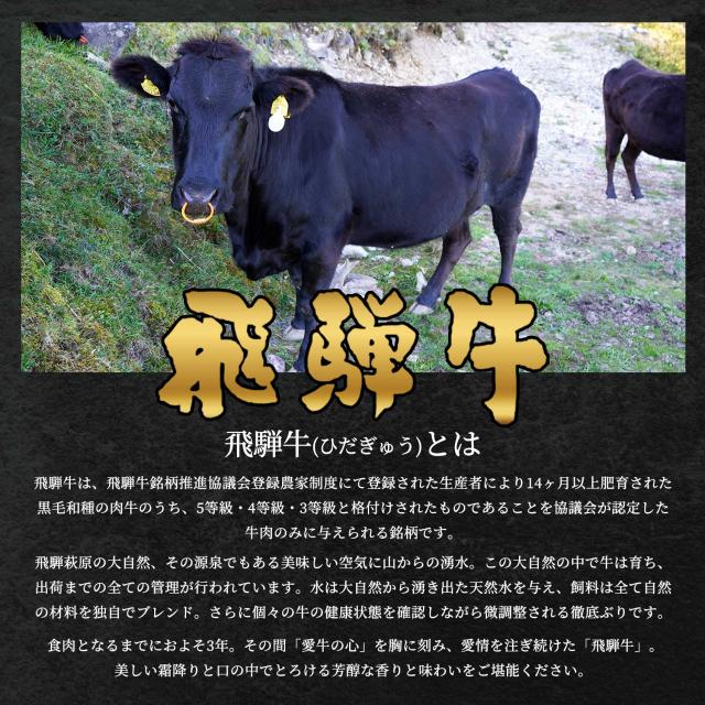 松阪牛・神戸牛・米沢牛・A5黒毛和牛・飛騨牛 選べるカタログギフト【LD1コース 5万円】