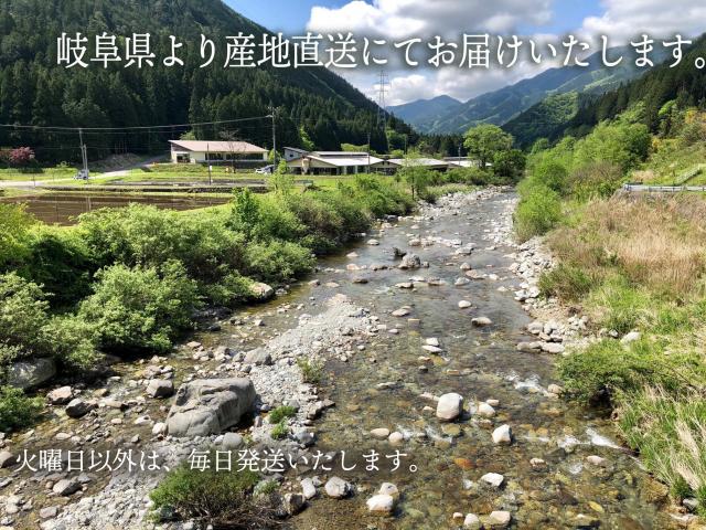 飛騨牛 ハートステーキ ギフト 3個セット(A5・A4等級)