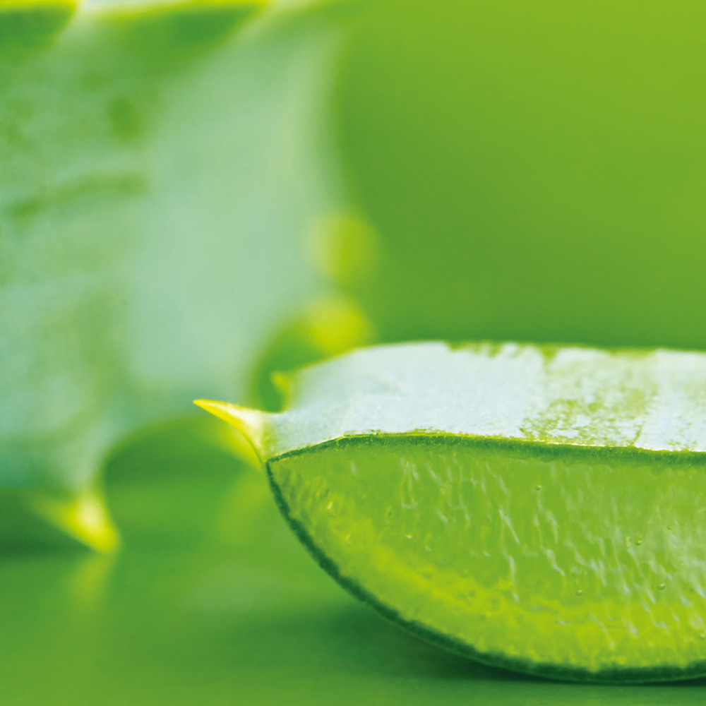 キューティクルリバイタライザーコンプレックスオイル ホワイトライム＆アロエベラ