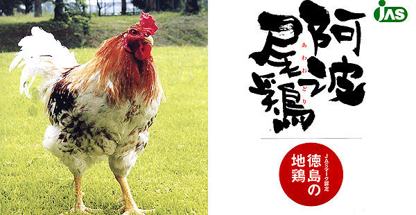 徳島　阿波尾鶏和風鍋用（冷凍）