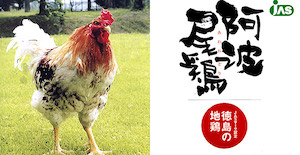 徳島　阿波尾鶏焼肉（冷凍）