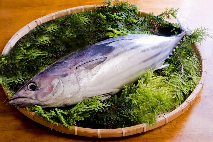 三陸沖産　金華伊達かつおタタキ（冷凍）
