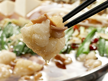 博多　明太もつ鍋