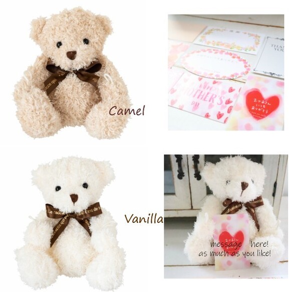 選べるぬいぐるみとカーネーションアレンジ　魔法の水　マジカルウォーター　