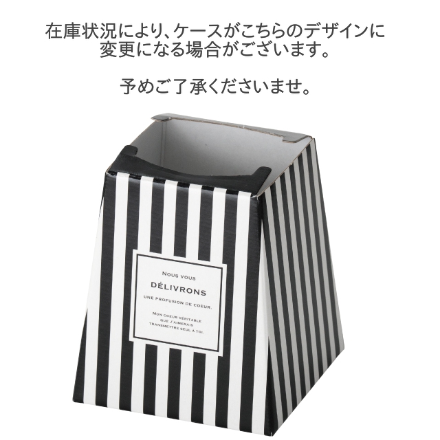 選べるぬいぐるみとカーネーションアレンジ　魔法の水　マジカルウォーター　