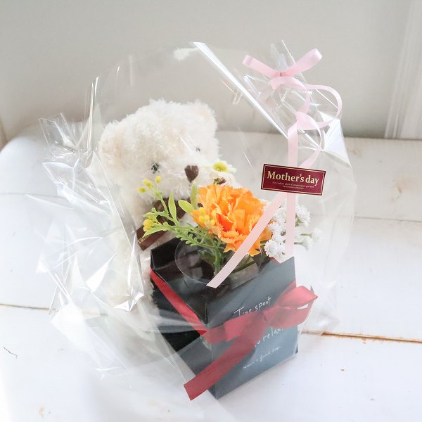 選べるぬいぐるみとカーネーションアレンジ　魔法の水　マジカルウォーター　