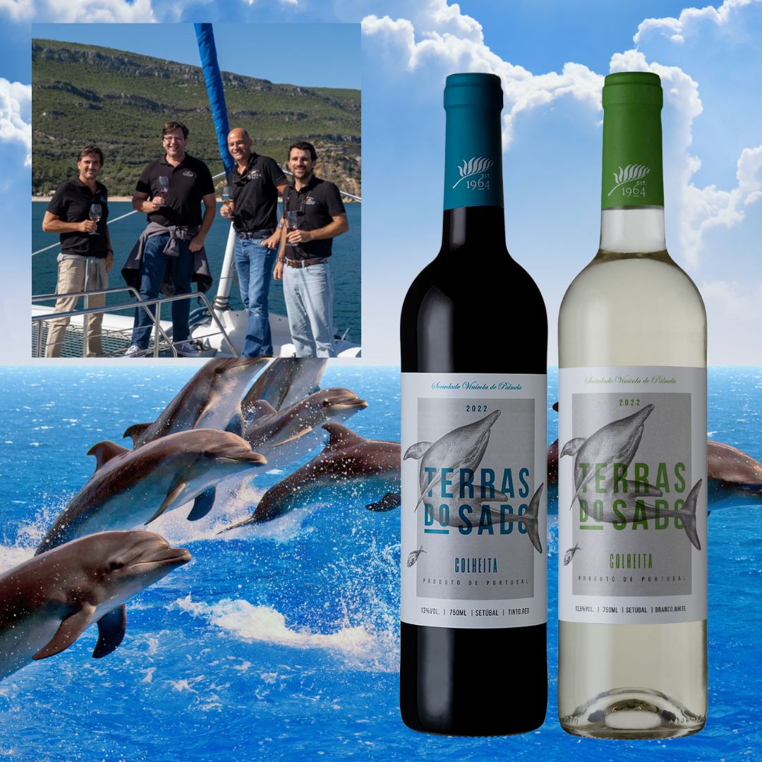 イルカのラベル ワインセット