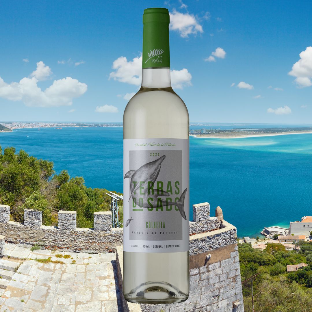 イルカのラベル ワインセット