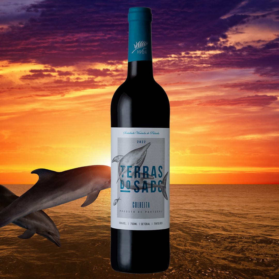 イルカのラベル ワインセット