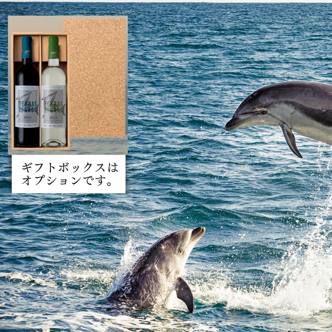 イルカのラベル ワインセット